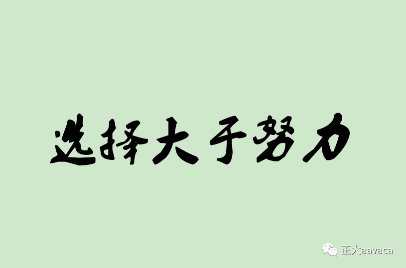 个人选型示意